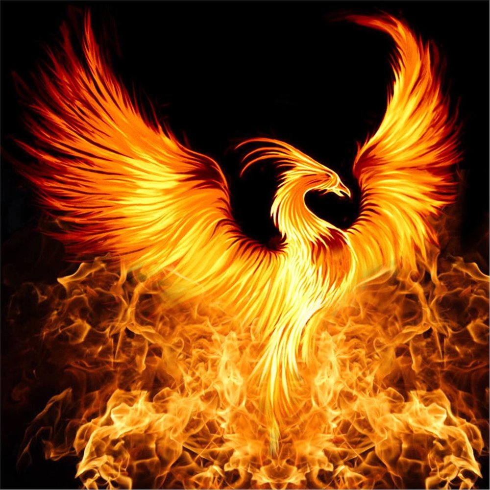 Phoenix rising steam фото 46