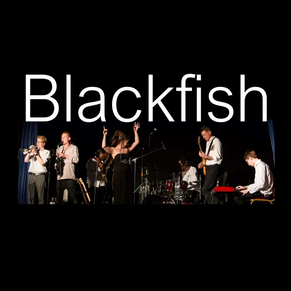 косатка. блэк фиш рыба. блэк фиш. черный плавник (2013). Blackfish.