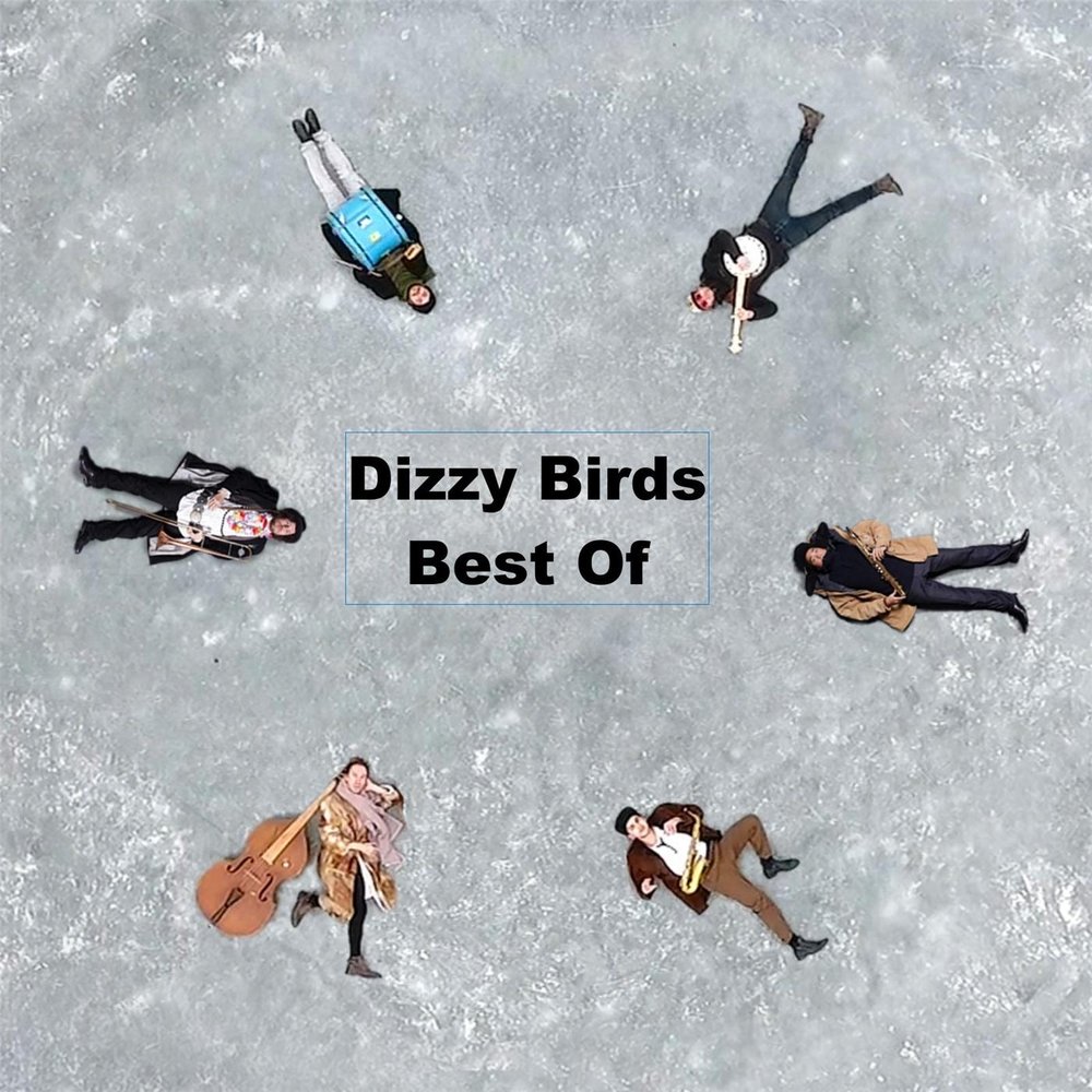 Listen the birds. Dizzy Bird. Dizzy Birds Stars. Dizzy Birds gif. Raindrop Dizzy.