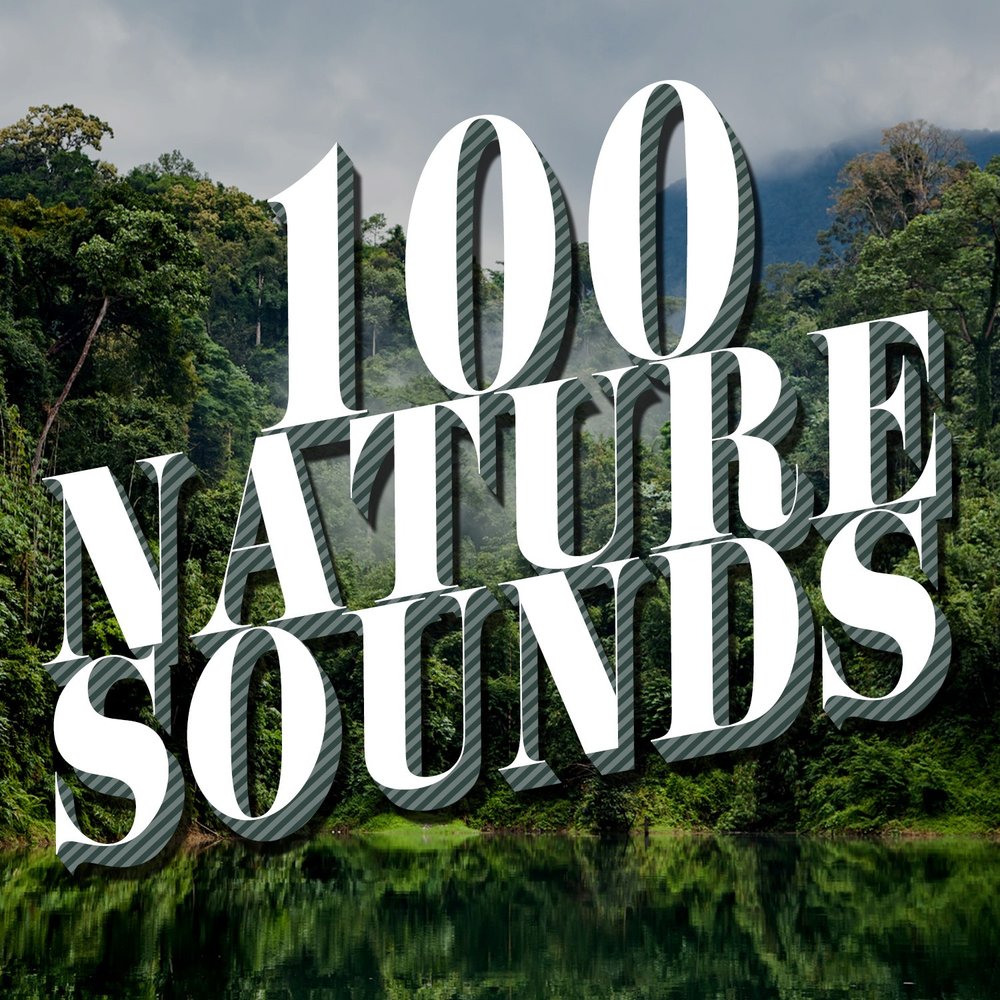 Sounds of nature. Natural Sounds. Besties nature Sounds collection. Nature collection