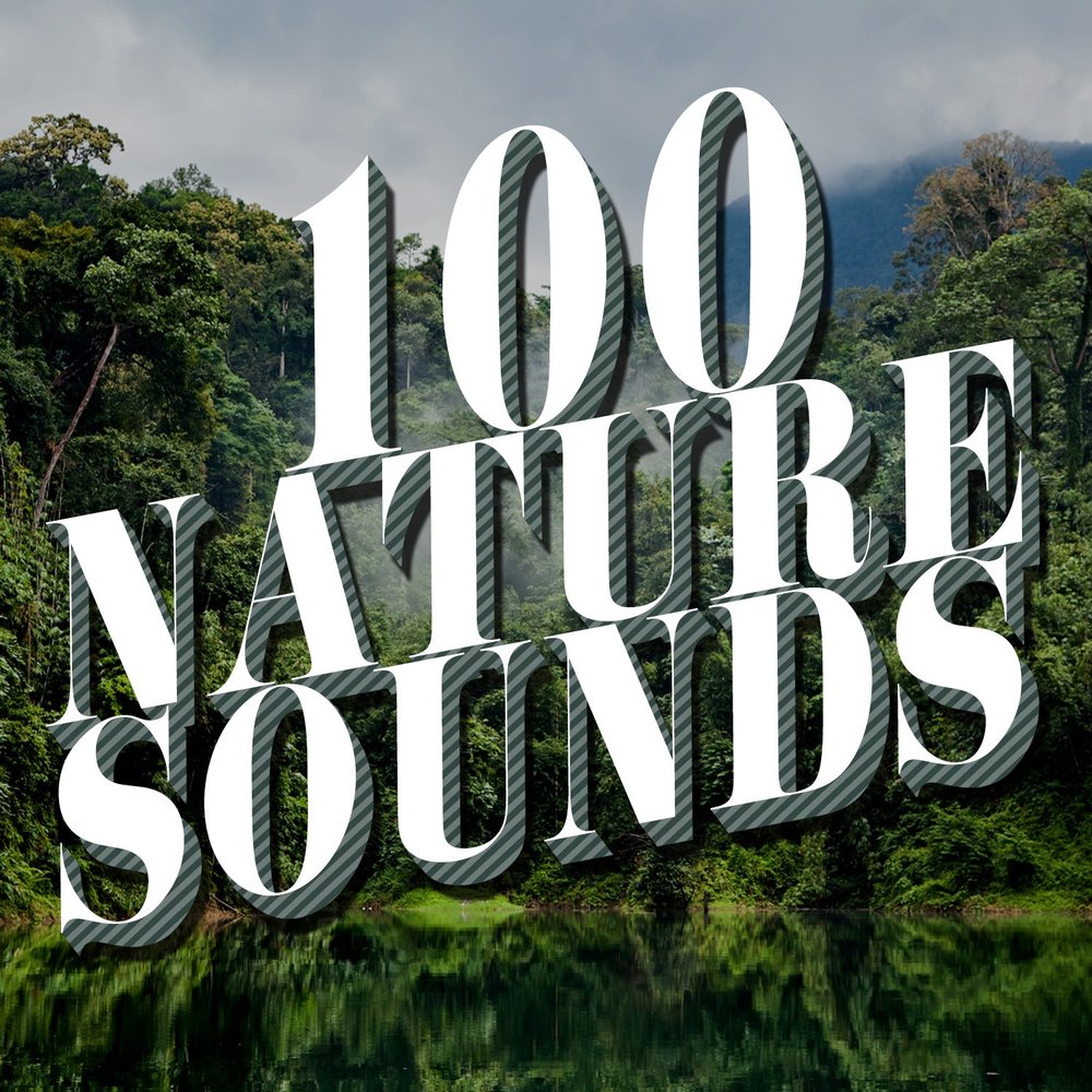 Natural collections. Sounds of nature. Natural Sounds.