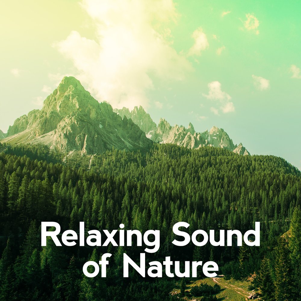 Природа mp3. Relaxing Sounds of nature.