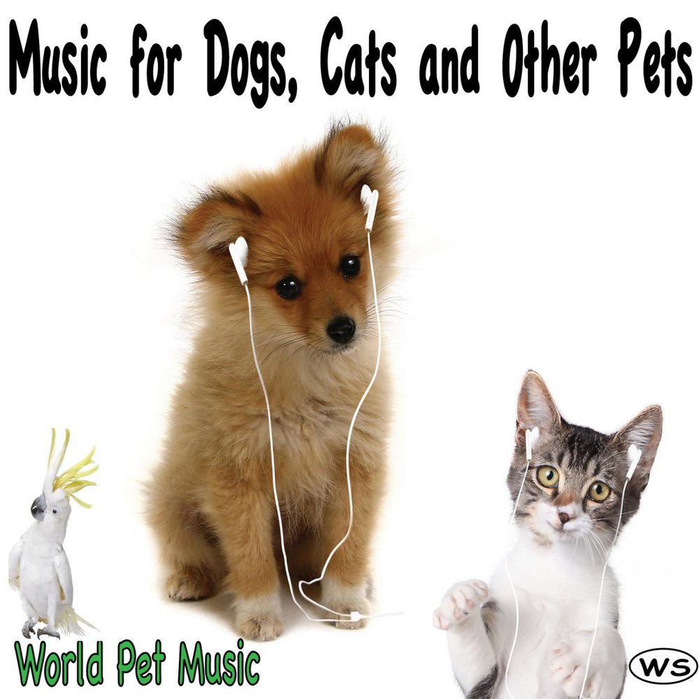 Pet World. Cat and Puppy World в разные годы. My Pet музыкальный альбом. Mypet музыкальный алььом. Pets музыка