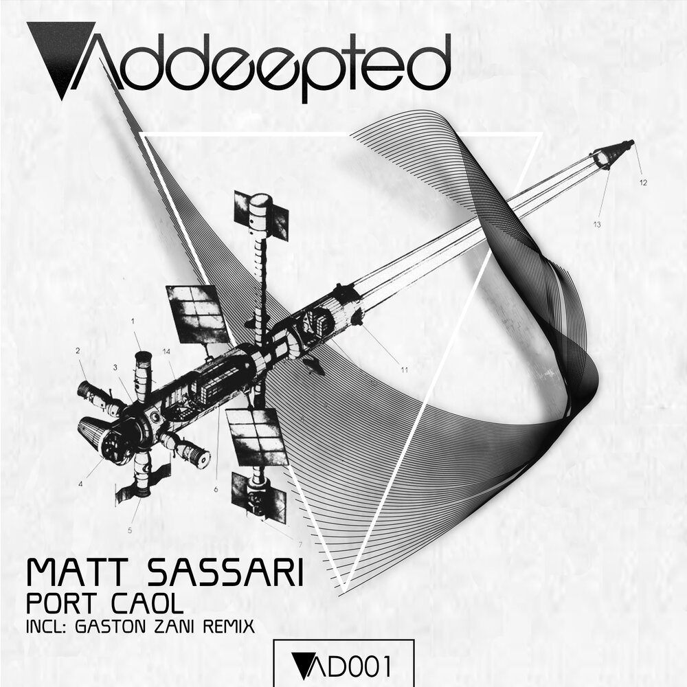 Matt sassari