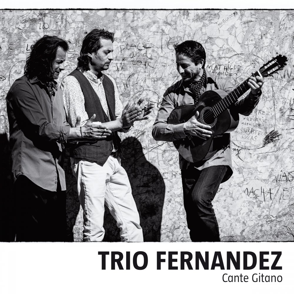 Лучшие трио песни. Los Fernandez. Aires группа. Лучшее трио.