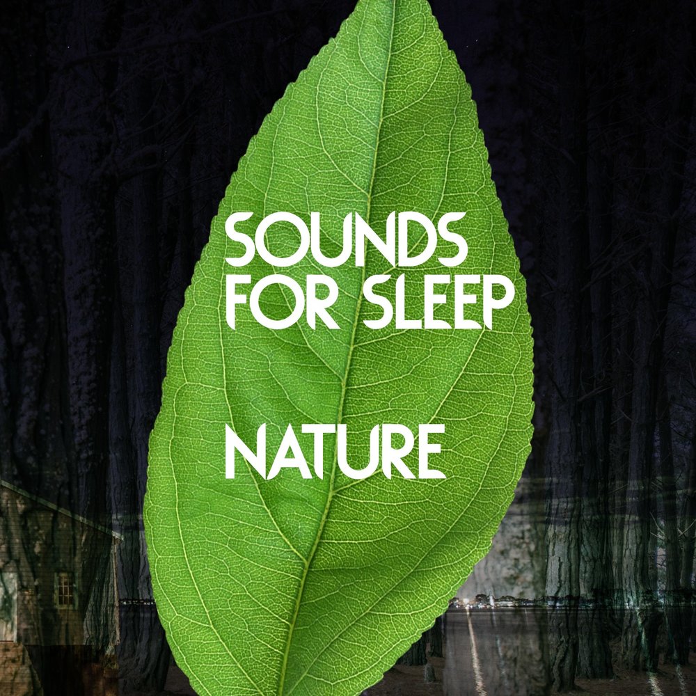 Natures series. Relax nature Sleep лого. Bird Sound for Sleep.