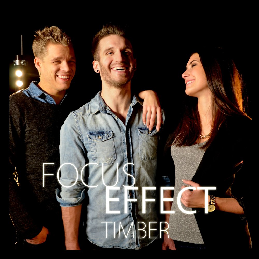 Focus effect. Песни Фоки. Лучшие песни Timber. Timber песня. Song Timber the Words.