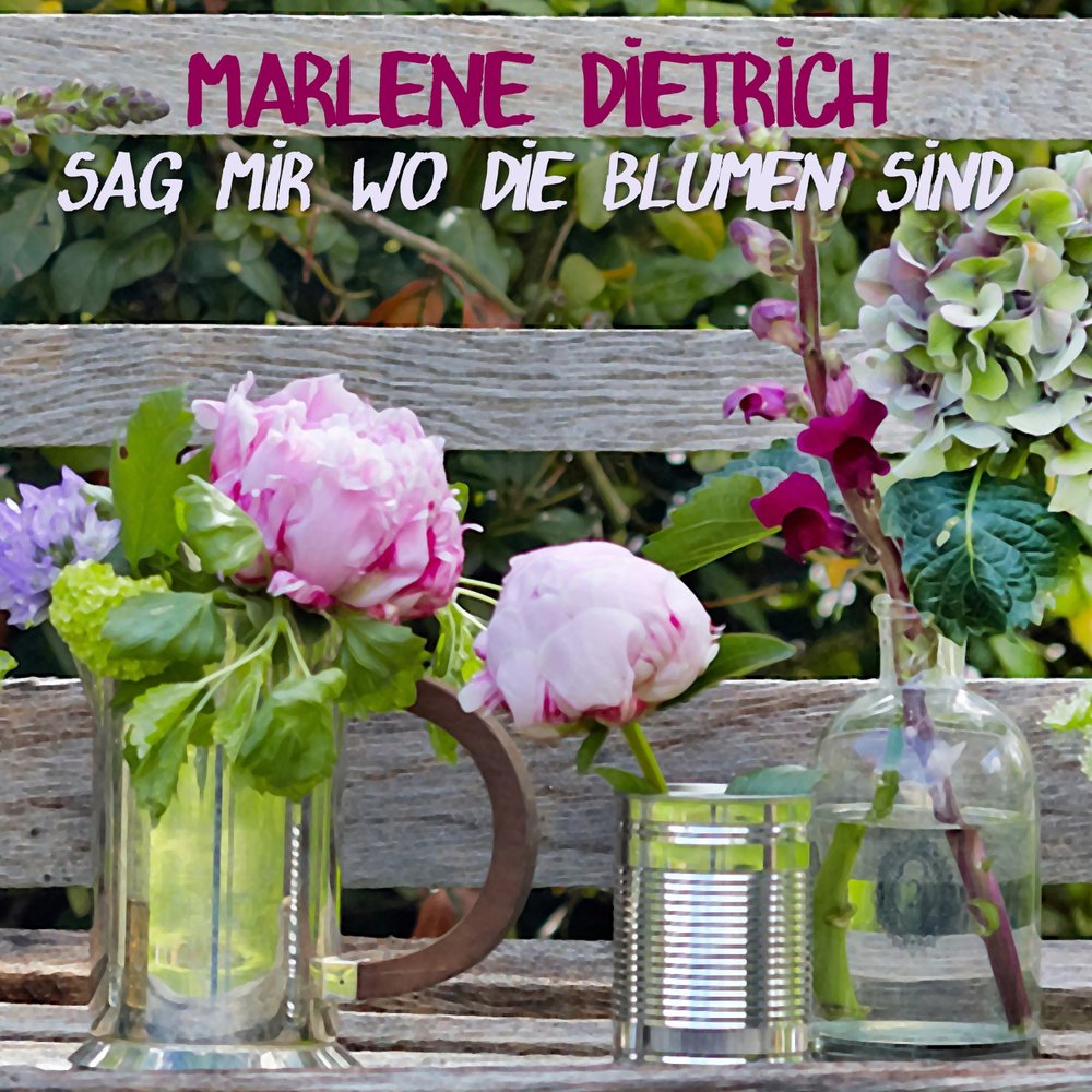 Die blumen. Марлен Дитрих Blumen. Sag mir wo die Blumen sind текст. Марлен Дитрих sag mir wo die Blumen sind слушать. Marlene Dietrich sag mir wo die Blumen sind перевод.