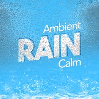 Rain Sounds Ambience