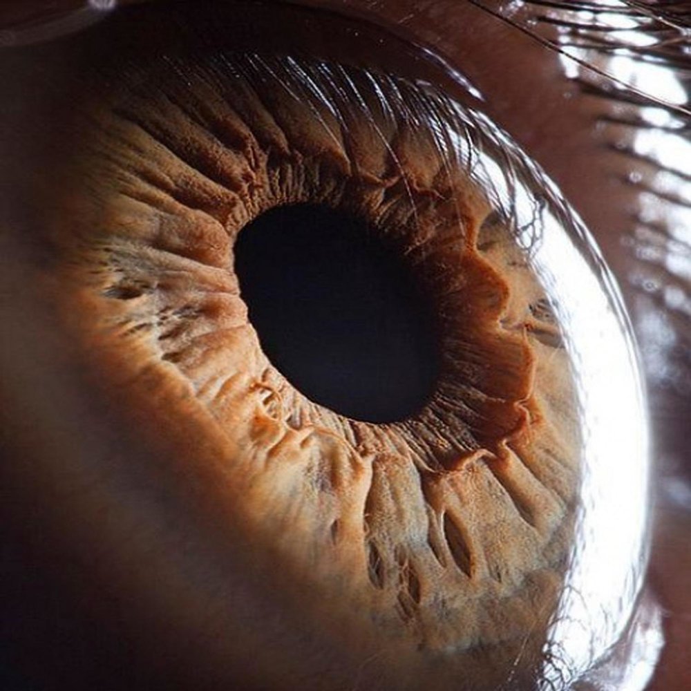 Макросъемка глаза
