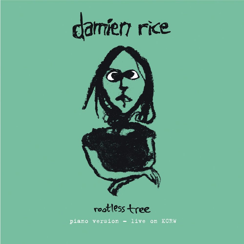 Песня rice. Альбом о Дэмиен Райс. Damien Rice 9 альбом.