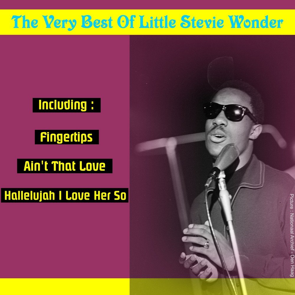 She lovely stevie wonder