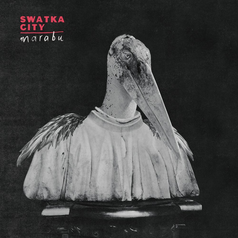 swatka city nighthawks