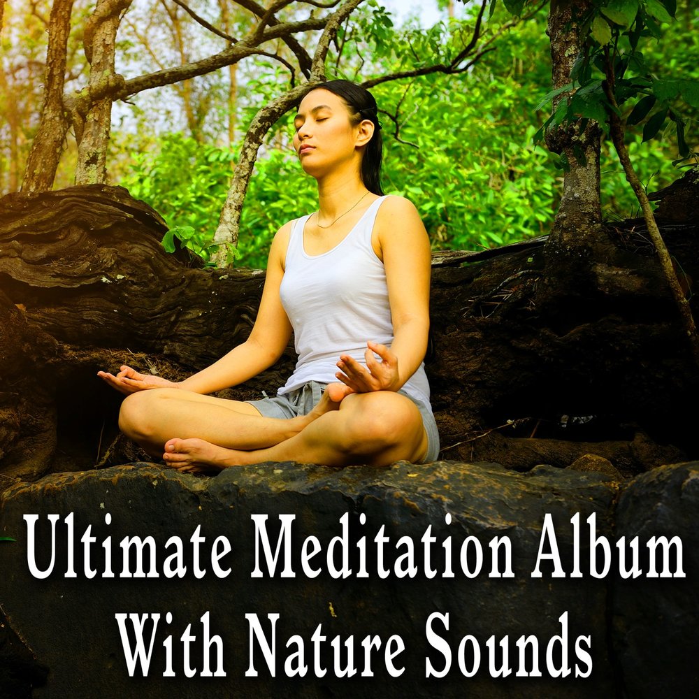 Музыка медитация птицы. Meditative album. Tranquil Mind.