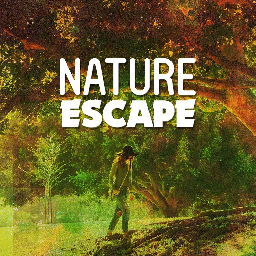 Nature escapes