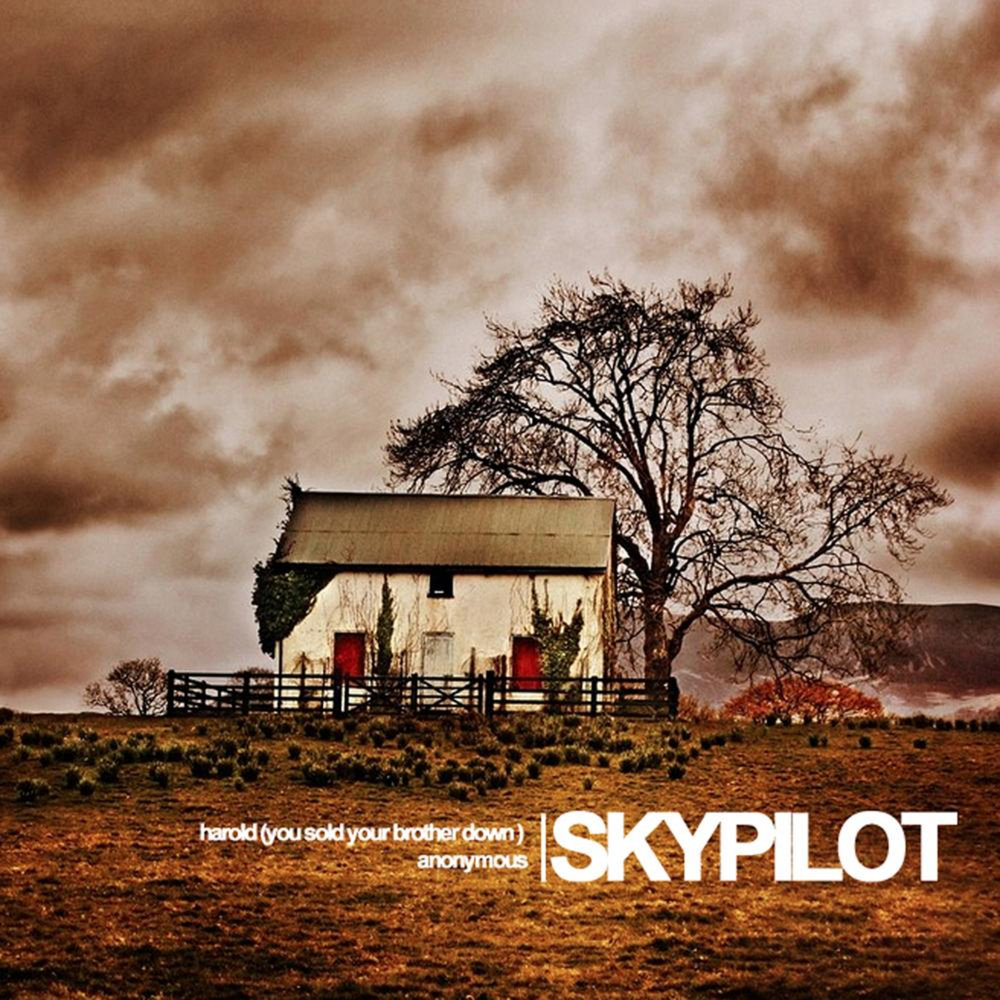 Everly brothers обложка. Brother перевод. 2 down brothers. Brother down. Sam roberts - brother down":.