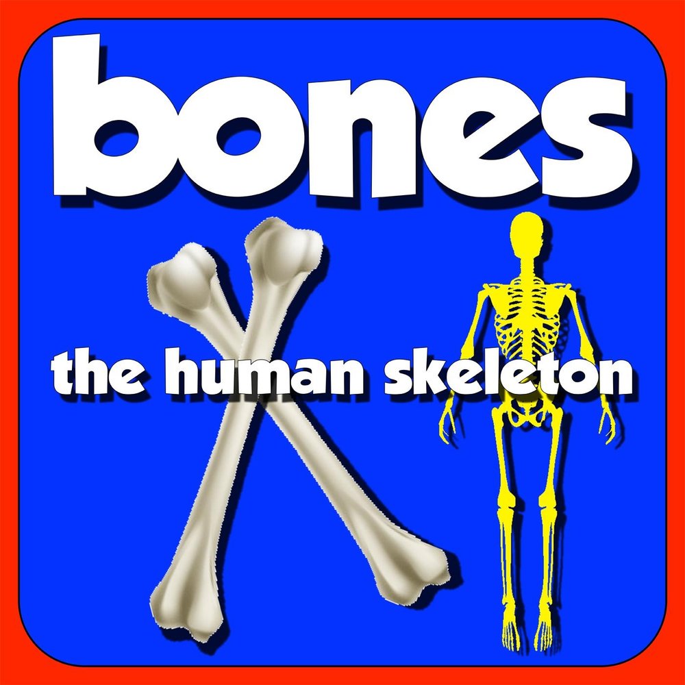 Bones. Мистер скелет. Мистер скелетон. Альбомы скилед.