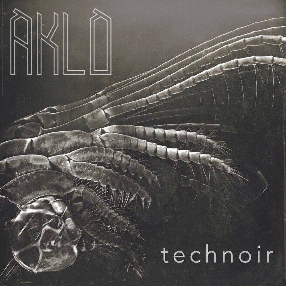 Aklo альбом Technoir слушать онлайн бесплатно на Яндекс Музыке в хорошем ка...