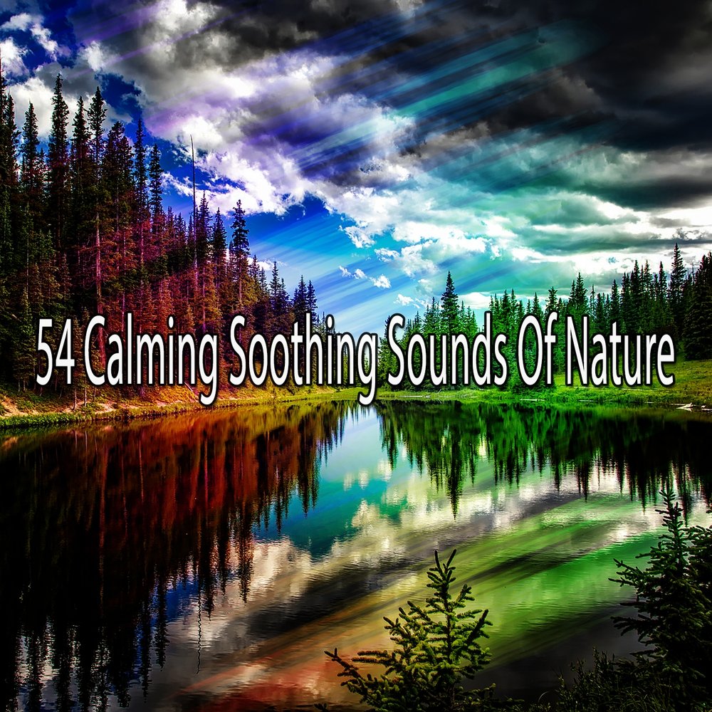 Sounds of nature.