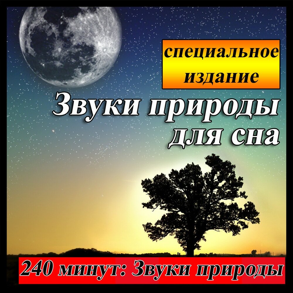 Звуки природы слушать для сна. Шум природы для сна. Звуки природы для засыпания. Музыка природы для сна. Звуки природы звук для сна.