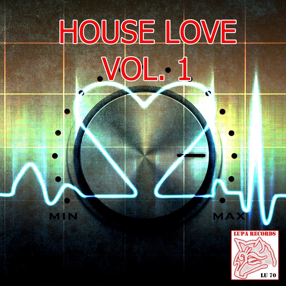 House your love. Love House. Nikster & Niklas Dee - Lost.