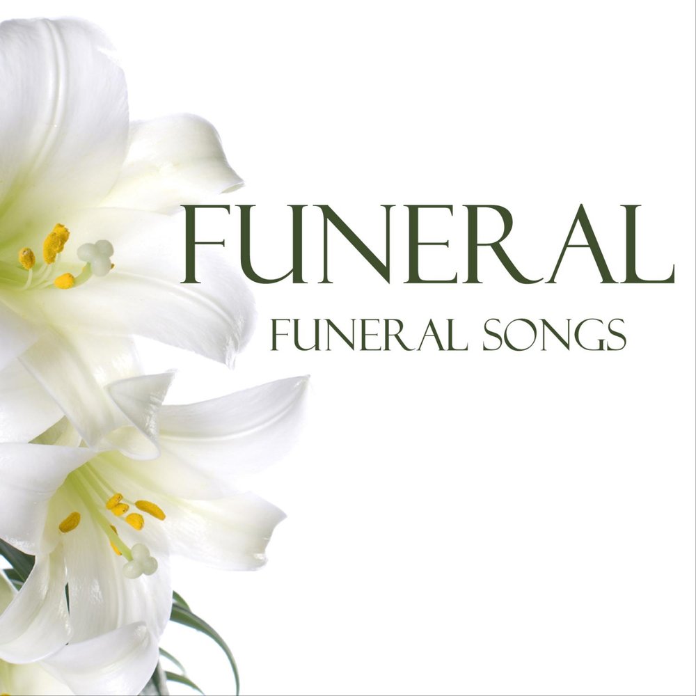 Mono inc funeral song перевод. Funereal песня. Funeral Music. Funeral Song Ellinoora. Funeral Song.