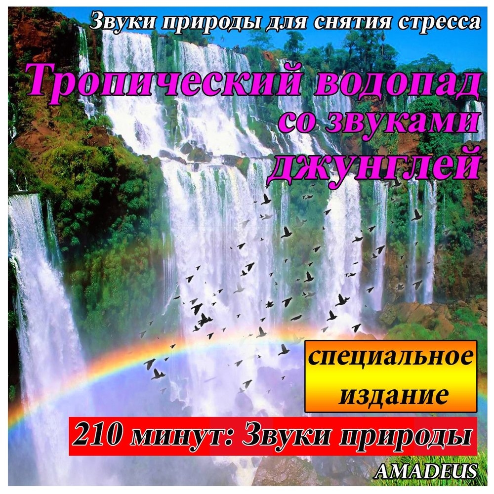 Краски и звуки природы. Звуки природы альбом. Amadeus звуки природы. Человек издаёт звуки природы. Звонкие звуки природы.