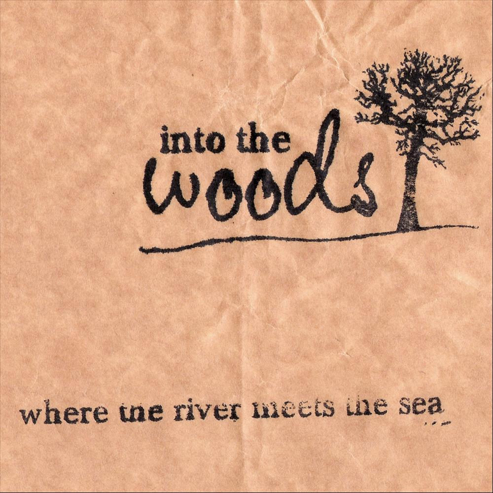 Wood альбомы. Meet in the Woods Spotify обложка. Apathy - where the River meets the Sea. Песня where is Woody.