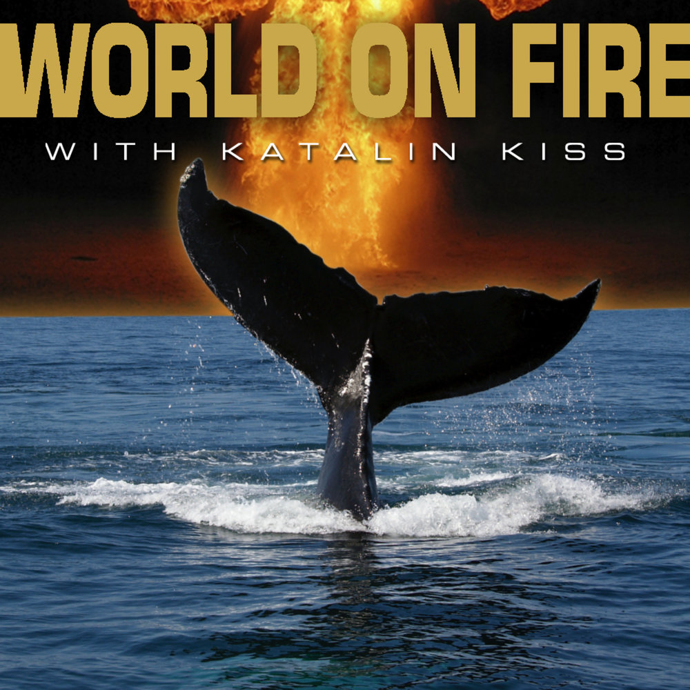 World on fire. World Fire. World in Fire. World on Fire Rap Rock.