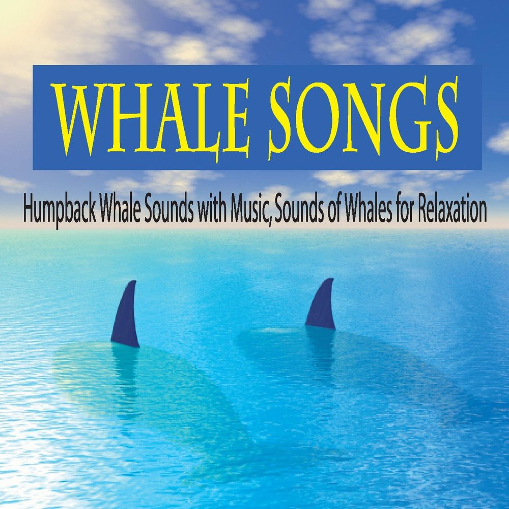 Song of the Whale Ultimate Relaxation. Dolphin Sounds Call.