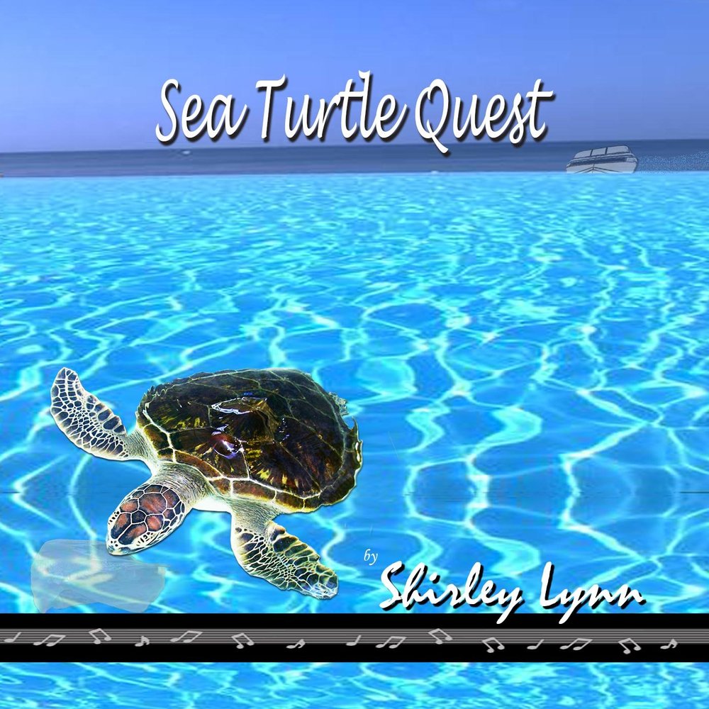 Turtle quest