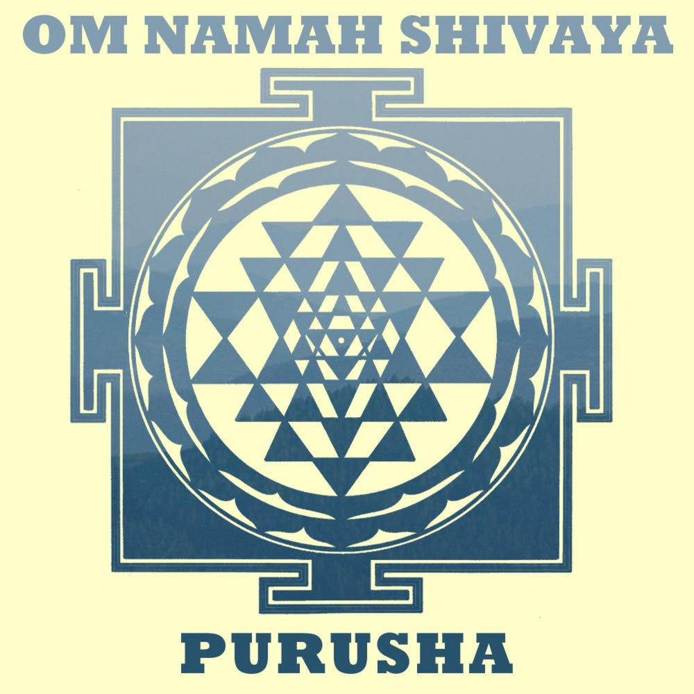 Om namah shivaya