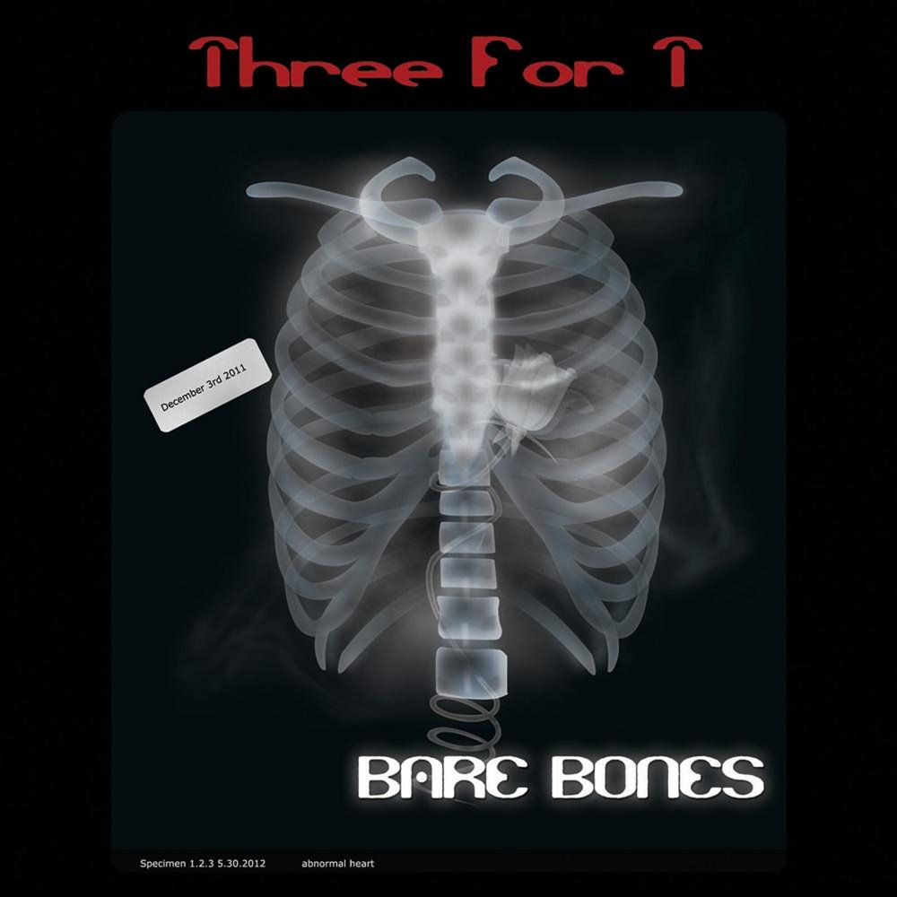 Bare bones x. Bare Bones медь. Bare Bones перевод. Bare Bones.