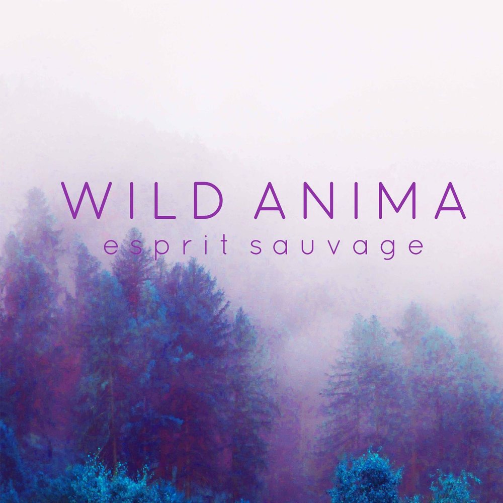 Wild Anima;s.