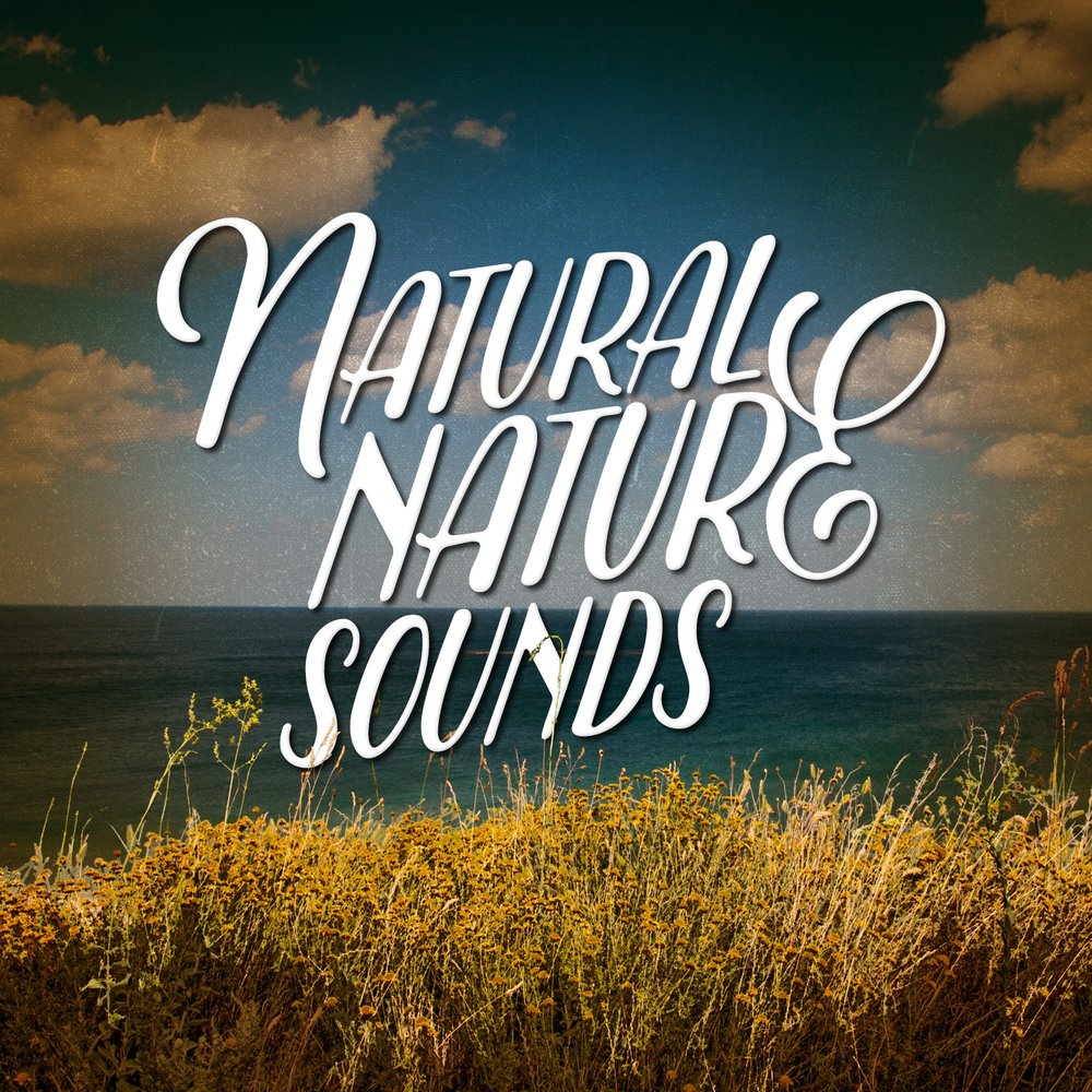 Naturals sounds. Sounds of nature. Naturals sounds. Natural sounds. Naturals sounds.