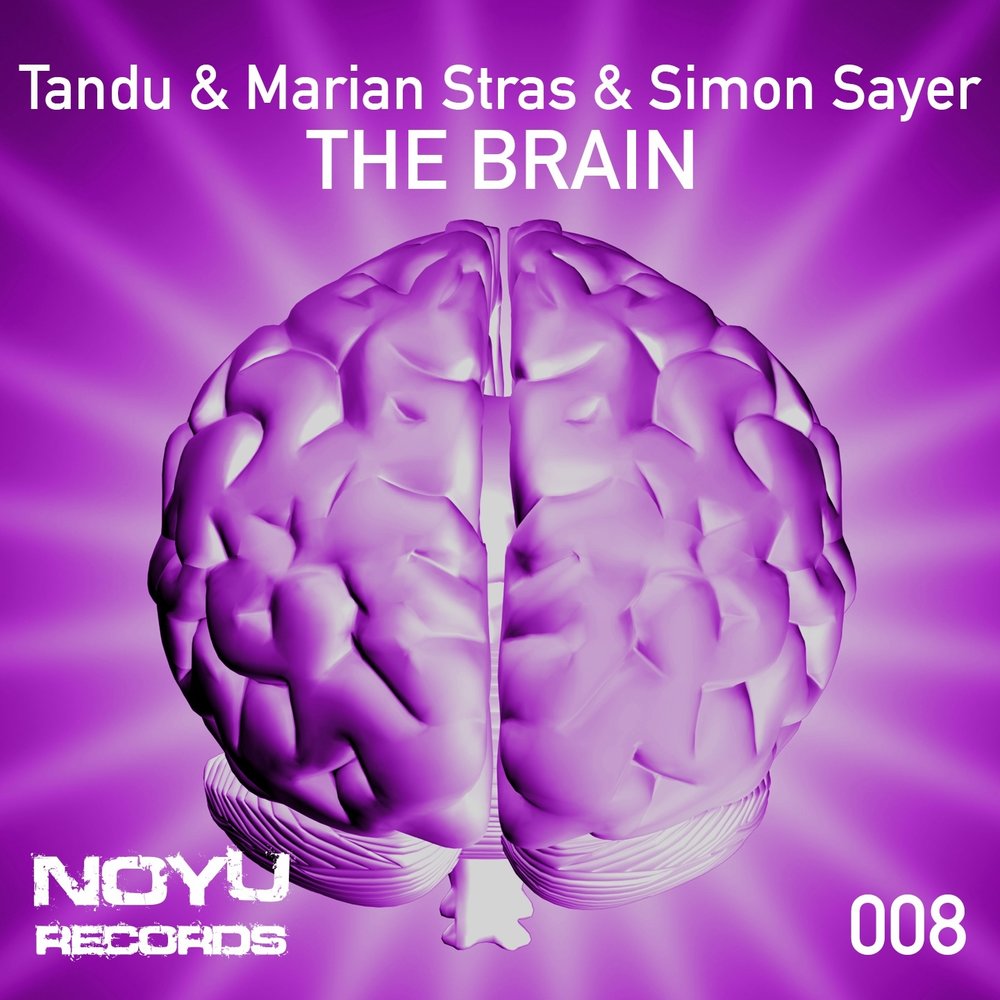 Песни brain. I want your Brain альбомы. Tandu. Автор песни Brain Power. Stras.