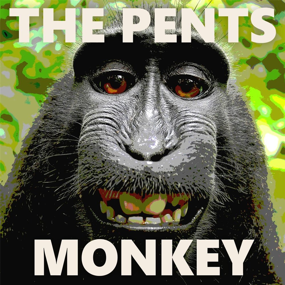 Стихи про обезьянку для детей. Monkey слушает. Обезьянка слушать 3 класс. Рассказ про обезьянку житков. Басня ивана андреевича крылова мартышка.