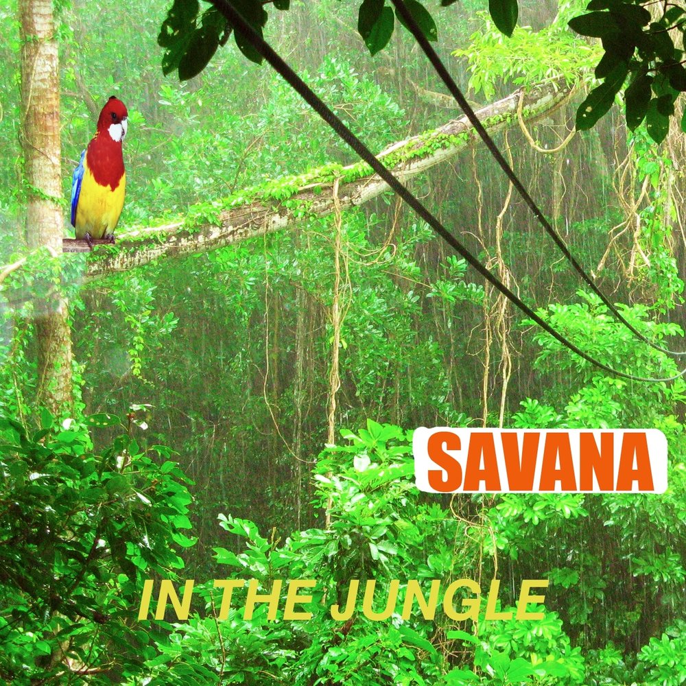 Песня про джунгли. Джангл трек. Минусовка джунгли. Savana album. In the jungle текст