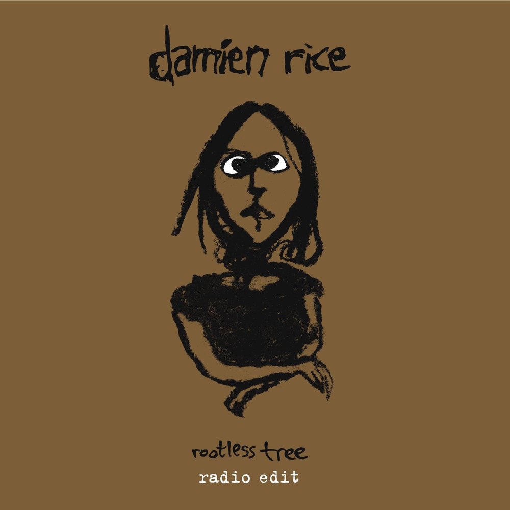 Песня rice. Rootless Tree Damien Rice. Damien Rice o слушать.