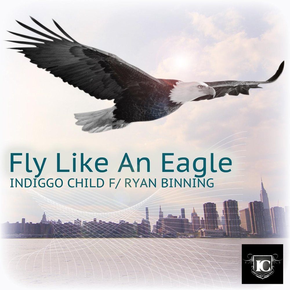 Like flying песня. Fly like an Eagle(ex-/ex).