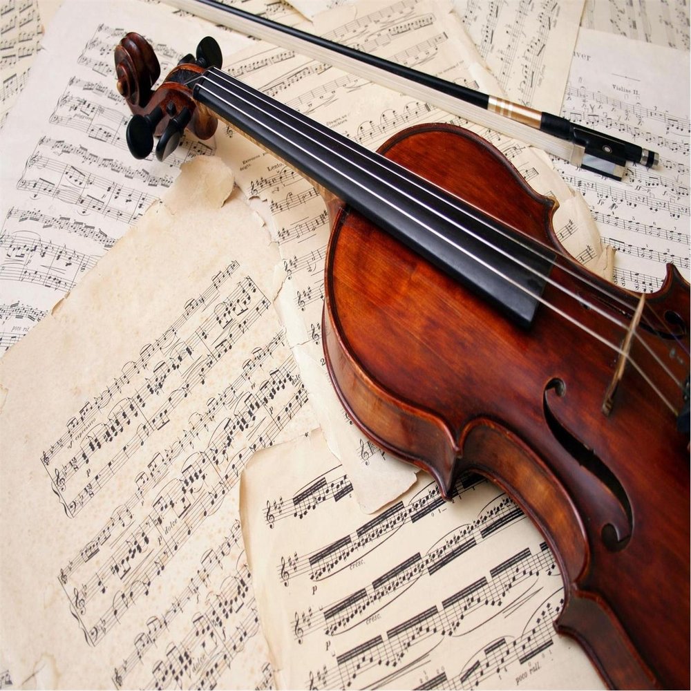 The four seasons violin. Виртуальная скрипка. Виртуальная скрипачи. Настоящая скрипка. Скрипка последняя песня.