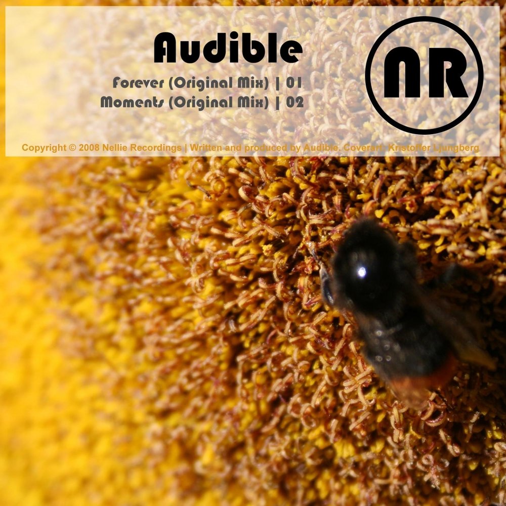 Форевер моментс. Let`s make summer last forever. Навсегда момент. Навсегда момент. Форевер моментс.