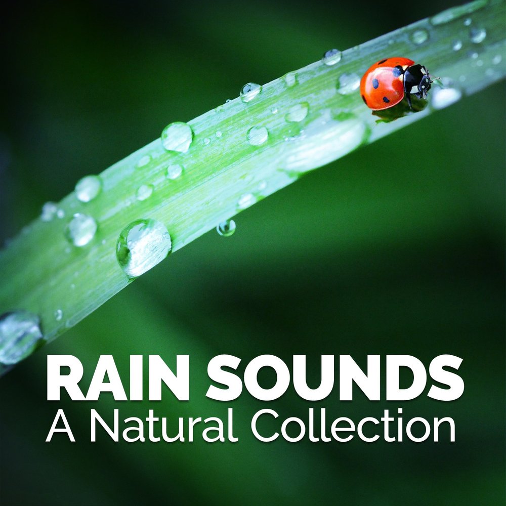 Fill Rain collection. Wednesday Rain. Nature collection