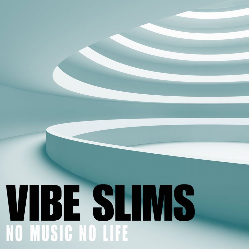 Vibe life. Vibe Music. Вайб лайф. Slim Vibe. Вайб 2013.