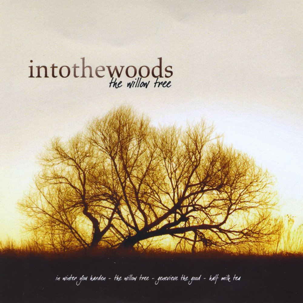 Приятные атмосферные картинки. Quotes about the nature love. Дорога в тумане. Into the trees. Run into trees песня.