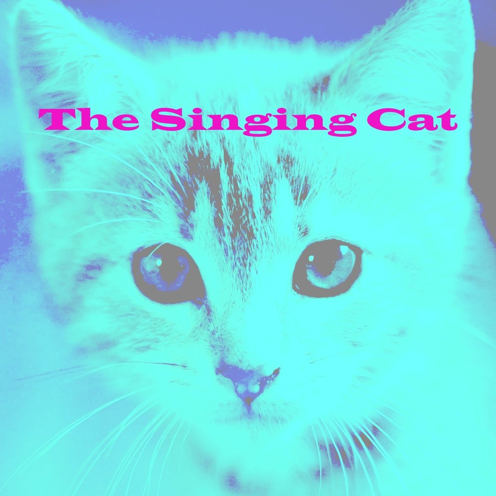 Cat sings. Singing Cat.