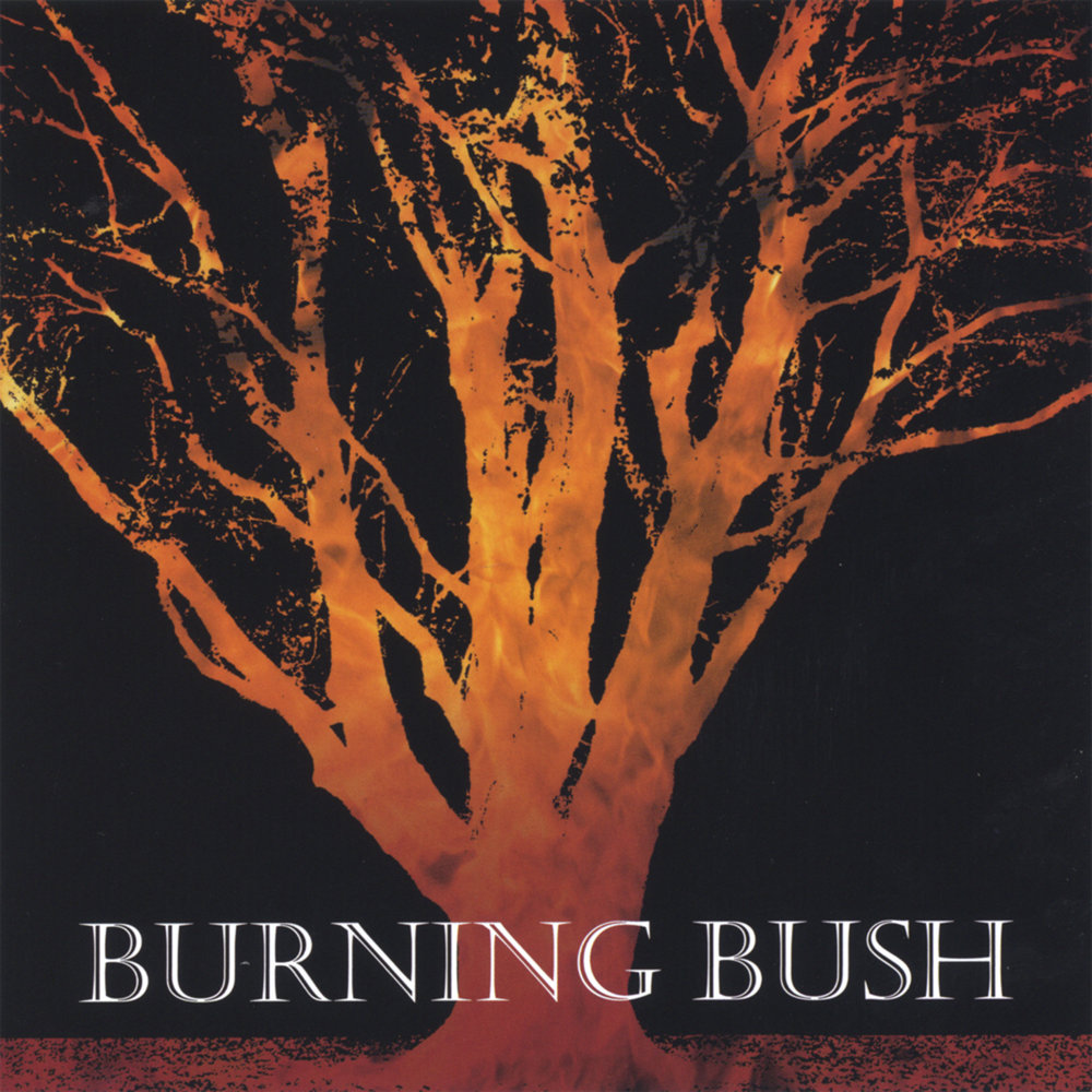 Burning bush. Burning Bush перевод. Премиум декорации Burning Bush как выглядят. Burning Bush League.