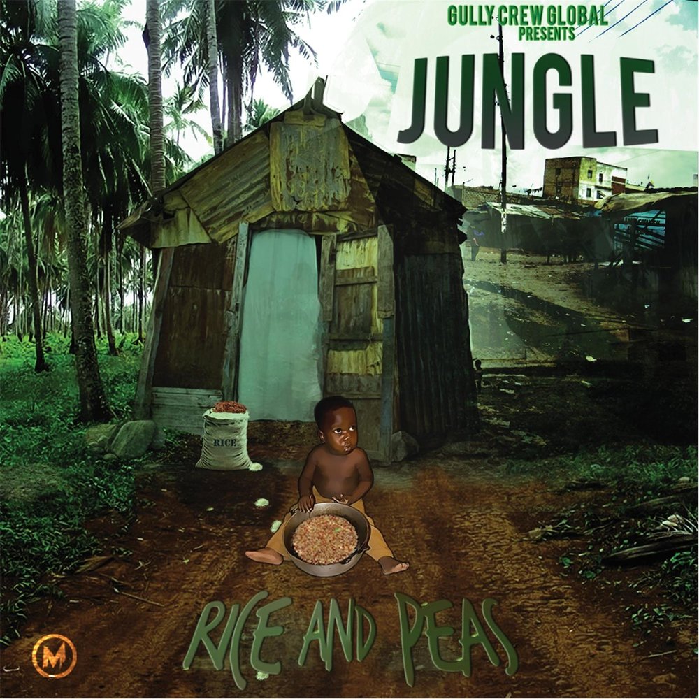 Through the jungle. Jungle слушать. See Jungle!…. Jungle Freaks.