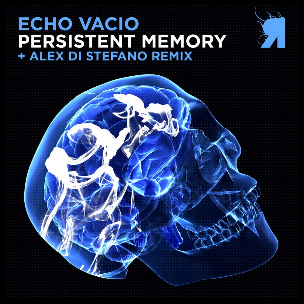 Музыка эхо. Vacio альбом. Echoic Memory. Echoed Memories echo607. Memory Echo клип.