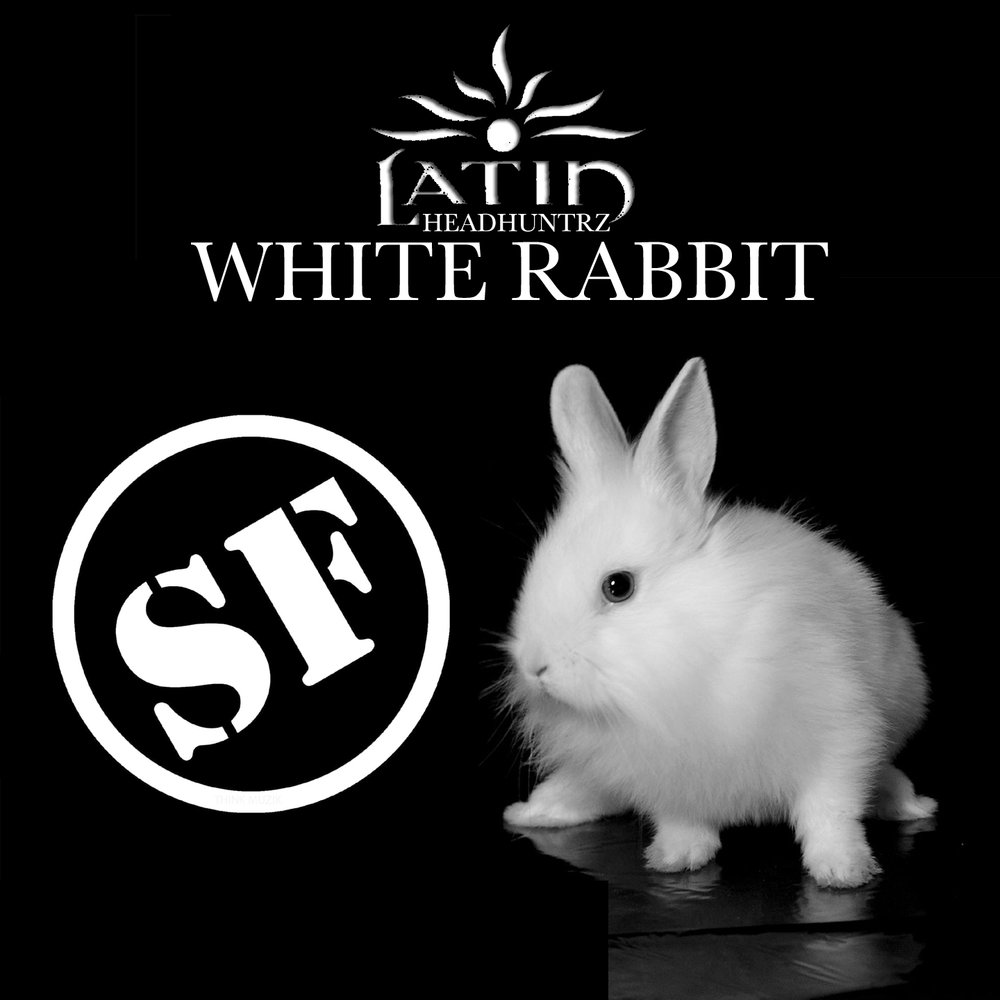 White Rabbit Song. White Rabbit слушать. Кролик радио. The White Rabbit слушать группа.